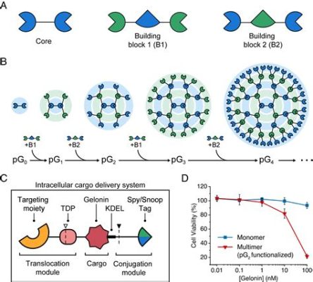  Dendrimere: Hochfunktionelle Bausteine für die Nanotechnologie der Zukunft!