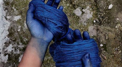  Indigo:  Ein natürlich blaues Wunder für die Textil- und Druckindustrie!