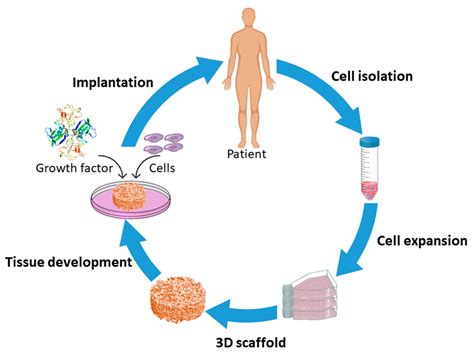 Nanozellulose – Ein Wundermaterial für innovative Implantate und fortschrittliche Geweberegeneration!