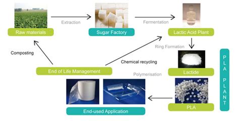  Polylactid – Ein Wunderwerk der Bio-Plastiktechnologie für nachhaltige Verpackungen!